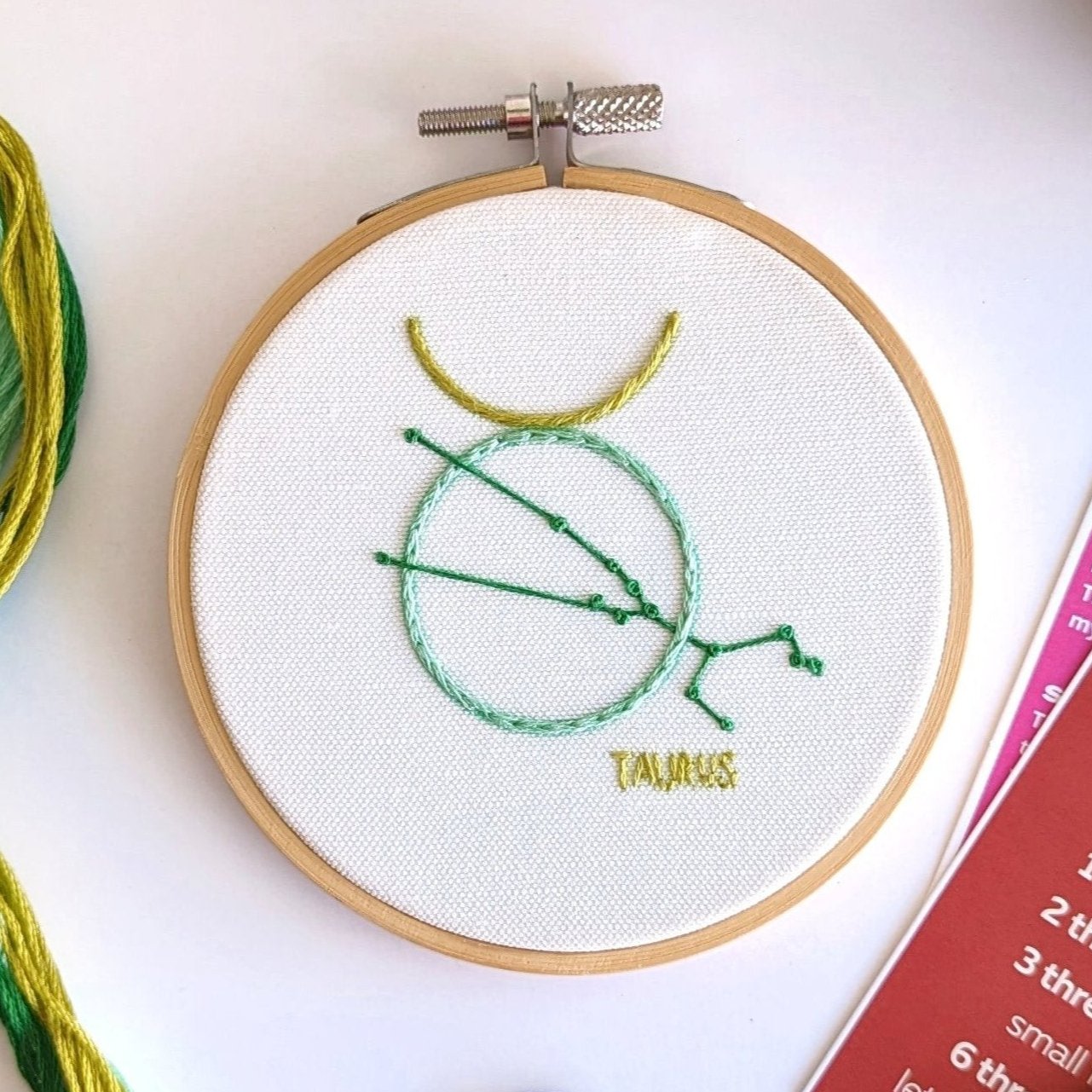 Taurus Mini Embroidery Kit